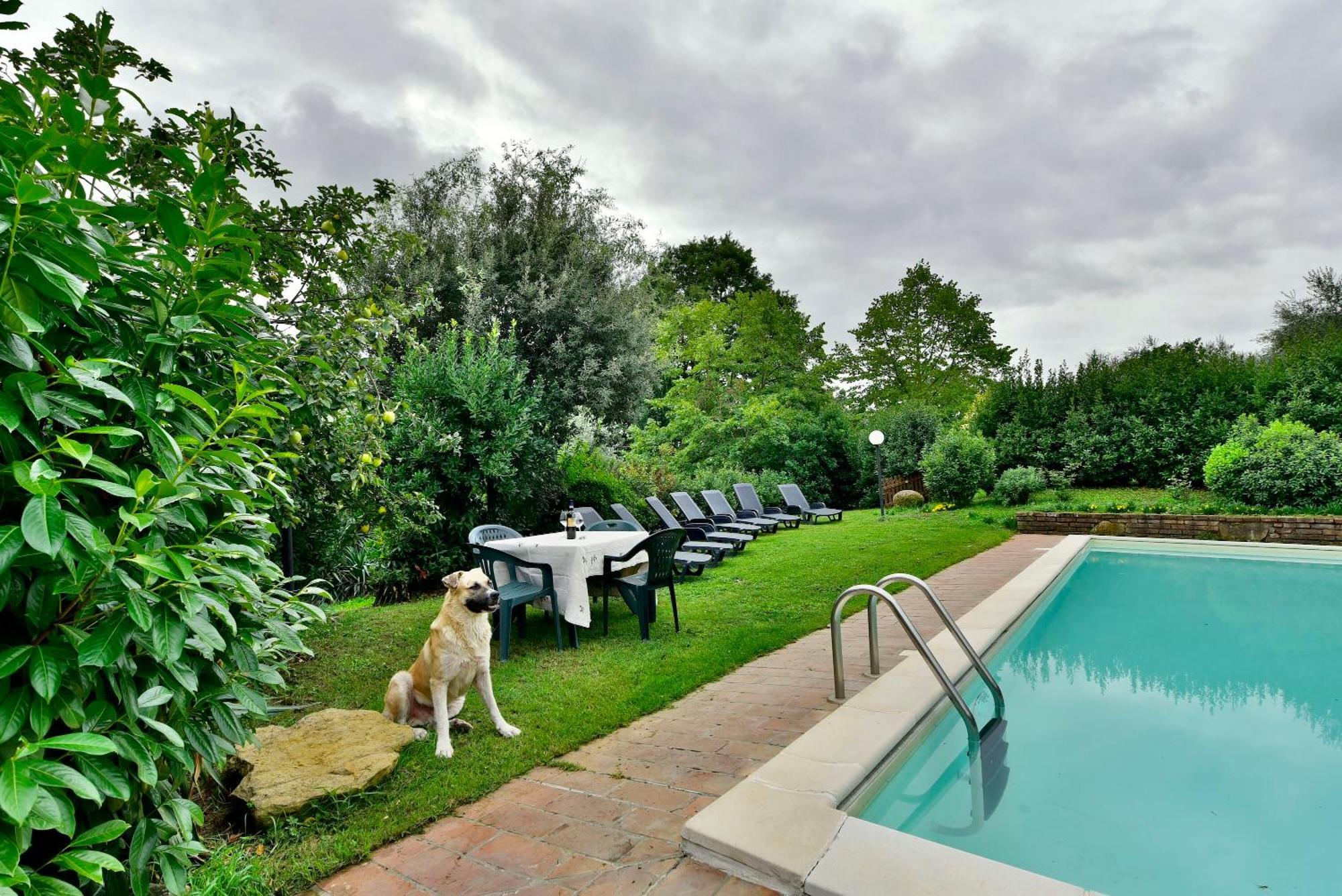 Agriturismo Corvaia Radicofani Exterior photo