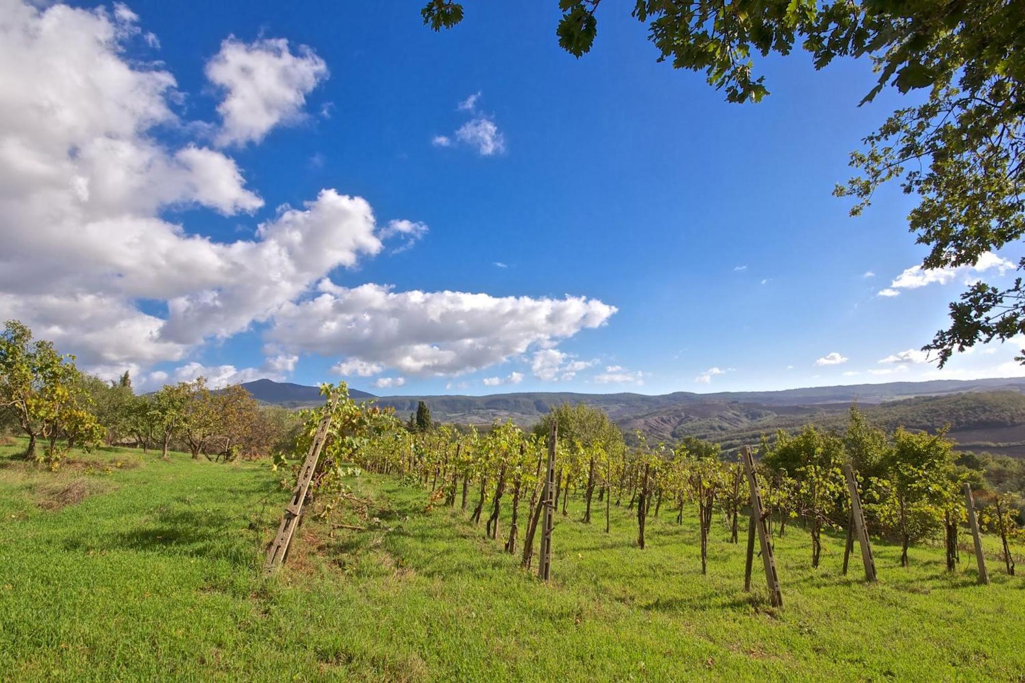 Agriturismo Corvaia Radicofani Exterior photo